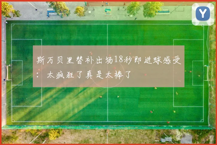 斯万贝里替补出场18秒即进球感受：太疯狂了真是太棒了