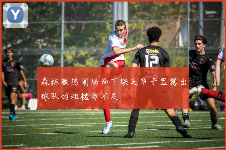 森林狼热闹场面下缺乏华子显露出球队的粗糙与不足